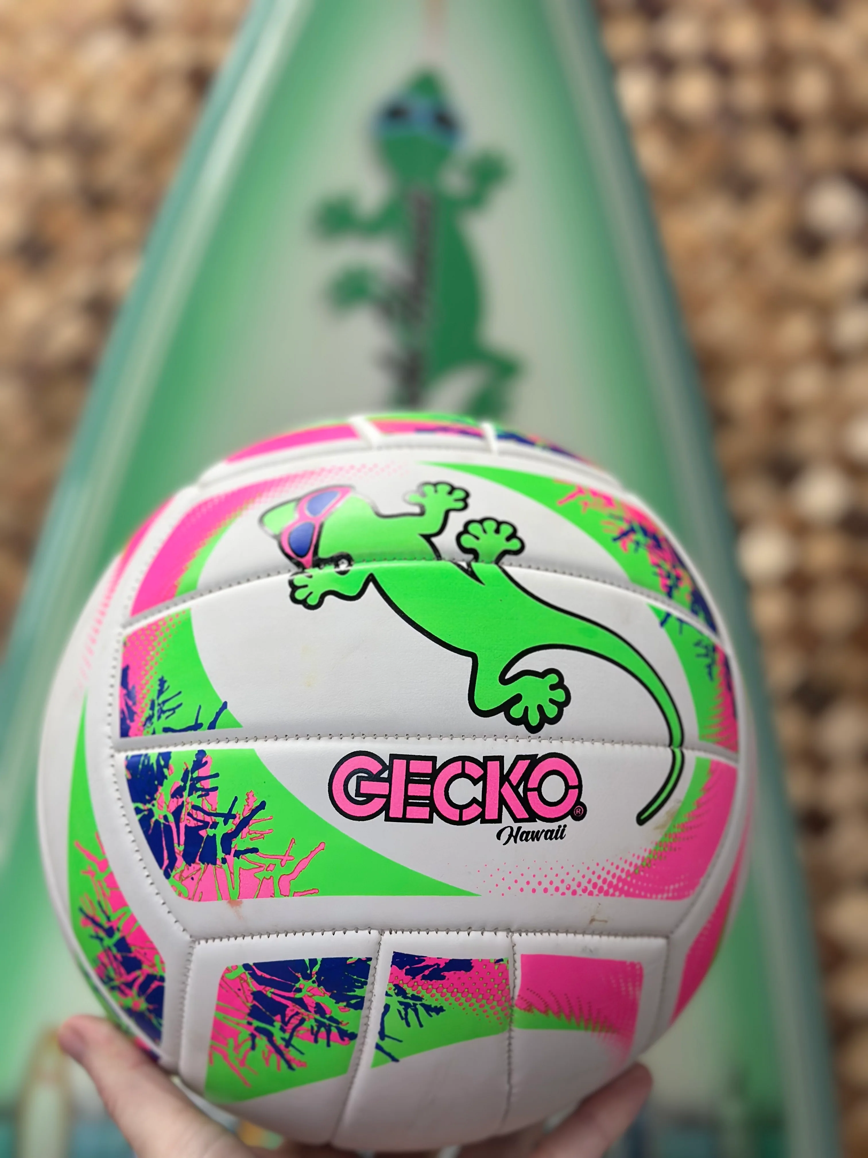 Gecko Hawaii Volleyball - Image 4