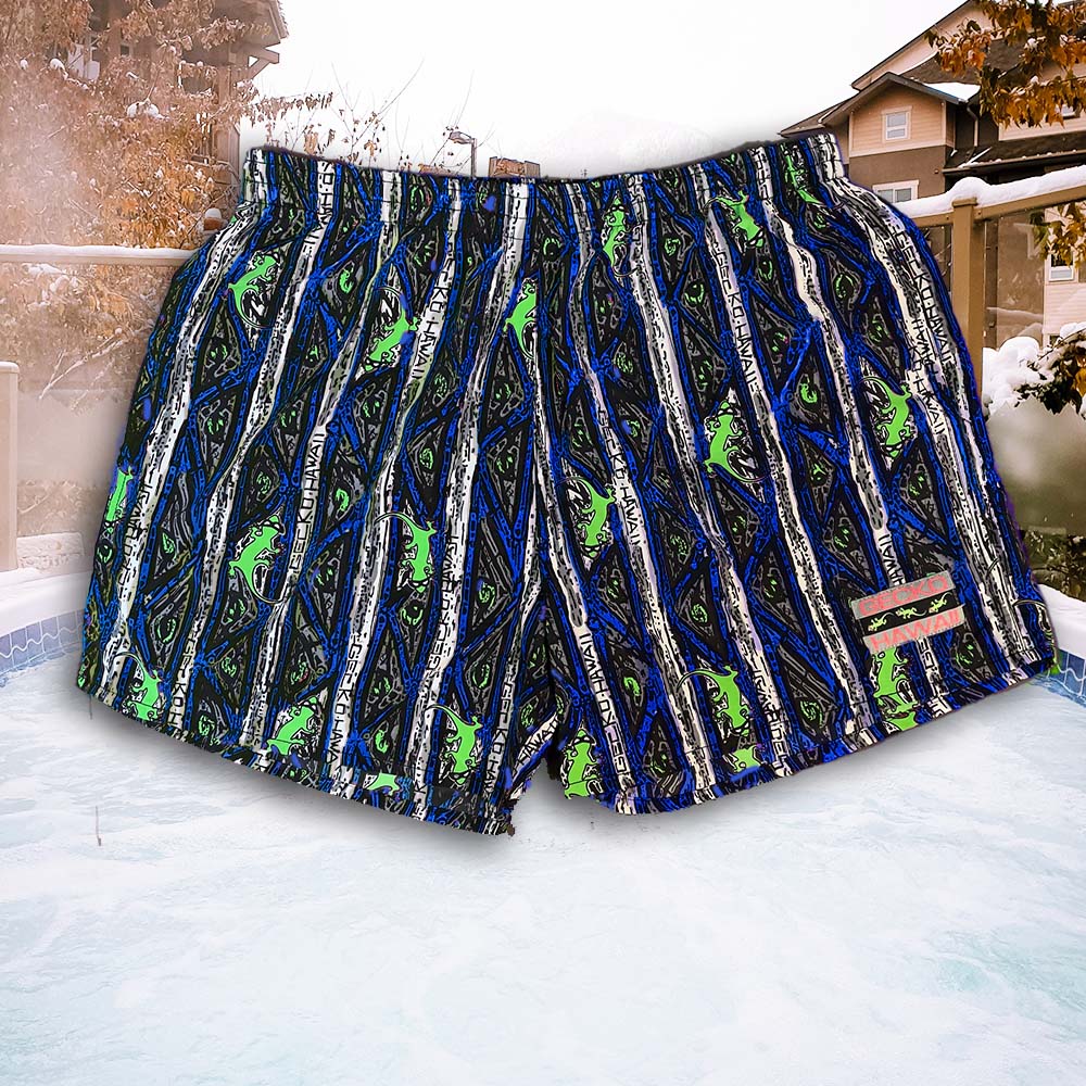 Iconic Gecko Blue Stripe Volleys - Image 4